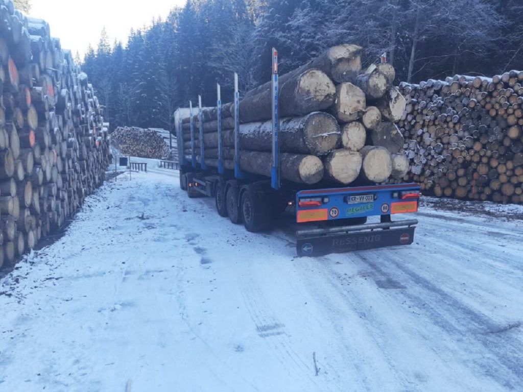 Galerija - MEGALES - odkup in transport lesa