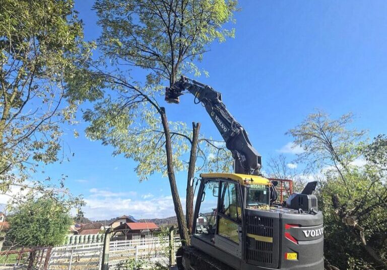 wp_upload_proxy3069698095.